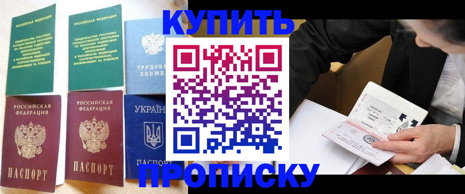 прописка для школы в Чехове